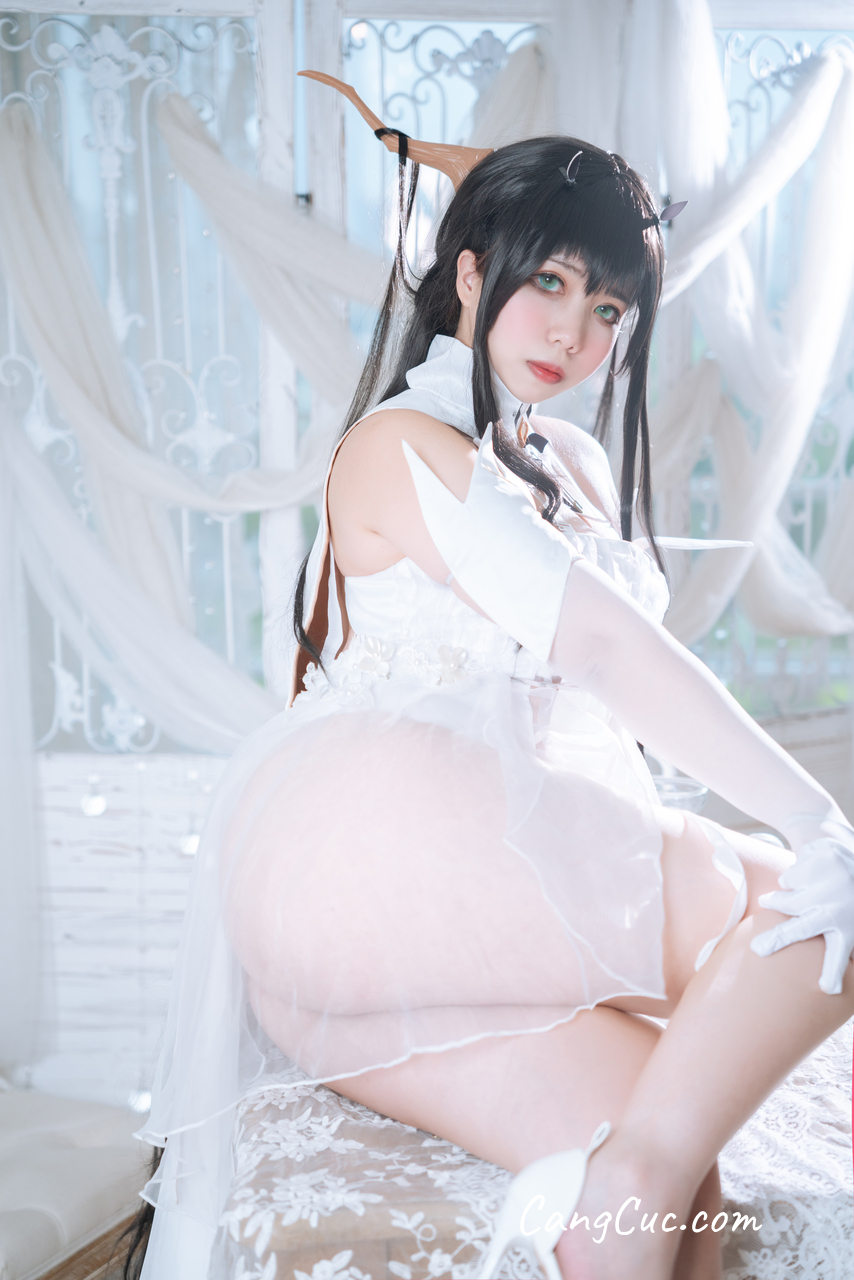 Coser@魅瞳Meroko - 碧蓝航线 不挠